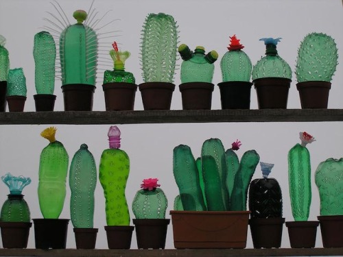 Porn photo knickae:   Recycled Plastic Bottle Sculptures