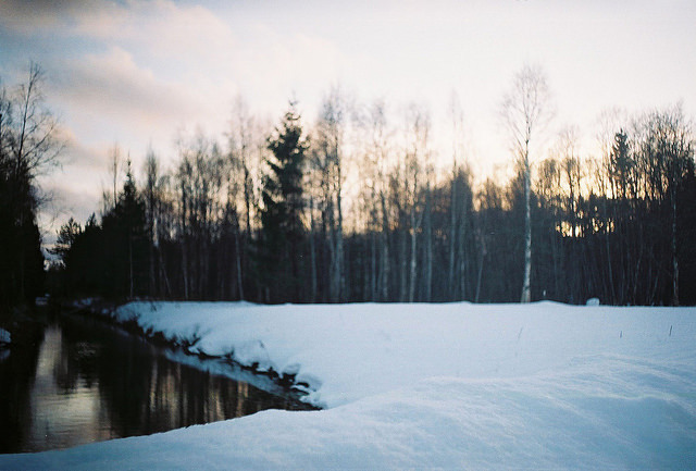 cloudedcamera-:  no diversity by Liis Klammer on Flickr.