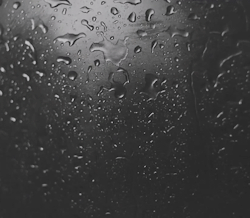 insight-jd:  ▼ FREE ACID ▼