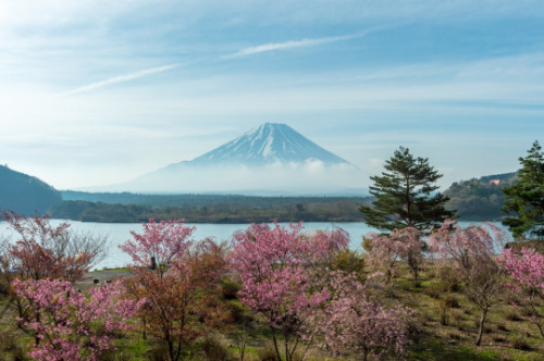 fuckyeahjapanandkorea: Lake Shoji Spring by shinichiro*