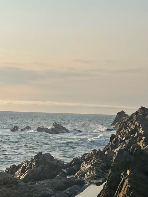 Oh, How I Love The Sea!