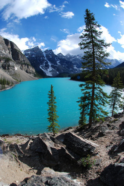 de-preciated:  Moraine Lake, Banff National