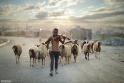 diaspora:  Young Palestinian shepherd playing the violin in Gaza, Palestine.