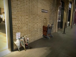 samhainnight:  sixpenceee:  Flowers at platform 9¾ for Alan Rickman.   crying now 