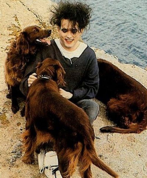 red-weiland:  Robert Smith with doges ^_^ adult photos