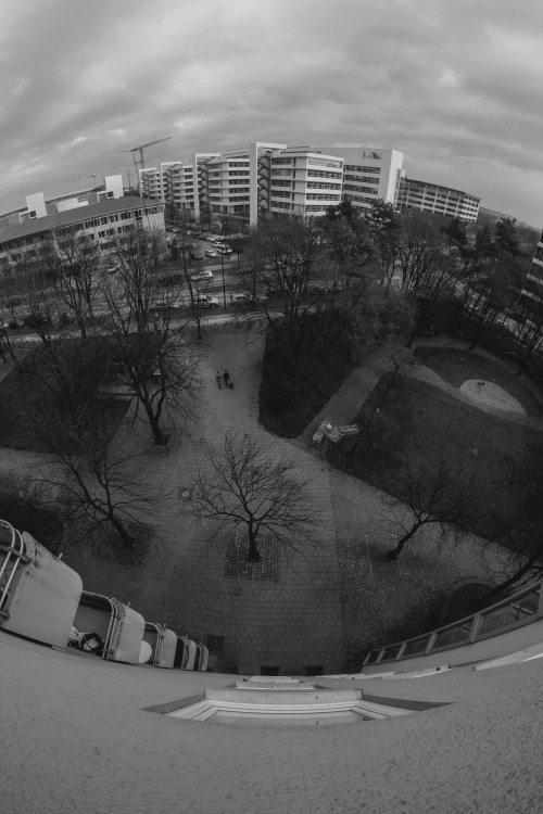 fisheye