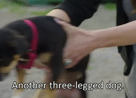letterkenny:Same Wayne, same. 