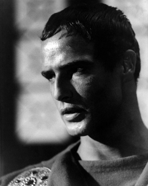 dragonlady981:Marlon Brando in Julius Caesar (1953)