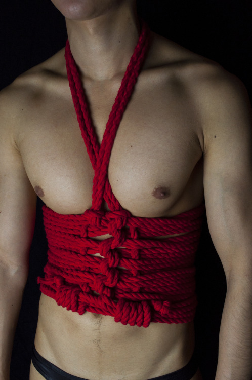 Shibari Love