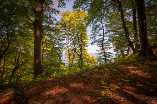 Jasmund National Park