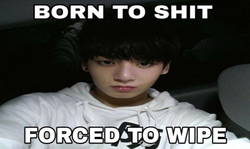 The Born To Shit Forced To Wipe Sent Me