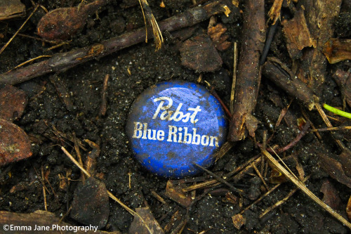beardsflannelboobs: Pabst Blue Ribbon 