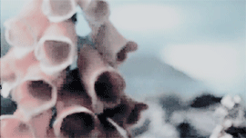 batnisss:favorite movies ⇢ harry potter and the prisoner of azkaban (2004)happiness can be found eve