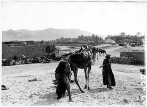 sniper-at-the-gates-of-heaven:aqaba, jordan, 1918