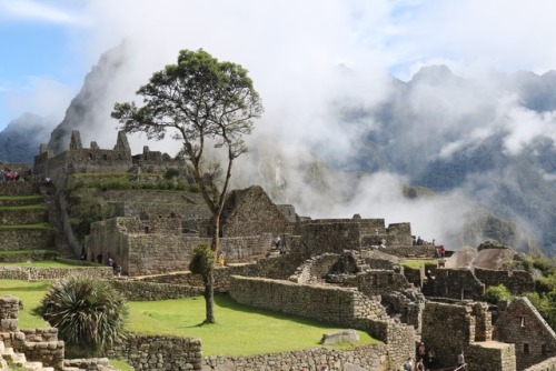 Machu Picchu Such a magical place! After waking up at 3am and being the first in line to go through 