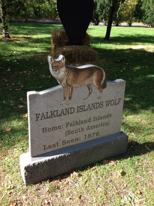 sixth-extinction:This is the Extinct Species Graveyard at the Bronx Zoo in New York. The only “gravestone” not included in this post is that of the Labrador Duck.I was very pleased to find this little display at the zoo even though some of the dates