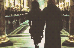 cryptic-ivy:  best of hp movies (aka the things they got right) - {1/??} 