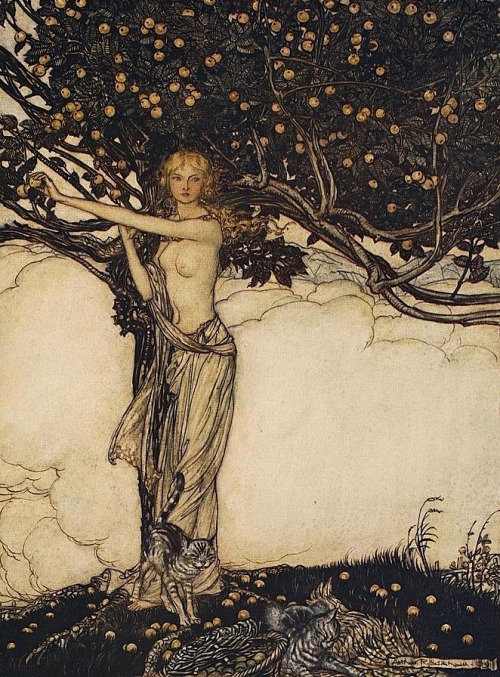 magictransistor: Arthur Rackham, The Rhinegold &amp; The Valkyrie [Richard Wagner], 1910.