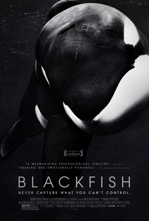 animalcruelty-notok:  Blackfish Ignored by Oscars The biggest and most powerful documentary of 2013 has not been nominated for an Oscar. Because of this incredible film, SeaWorld attendance dropped, major celebrities told fans to boycott, and captivity