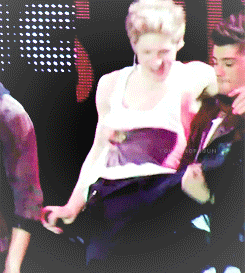 onedirection-damnthoseboys:  Ziall is impossible to hate #admitit