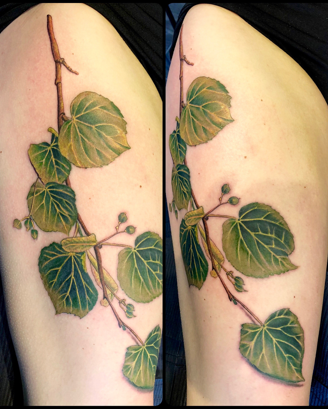 Linden tree forearm wrap by Maggie at Gnostic Tattoo Brooklyn NY  r tattoos