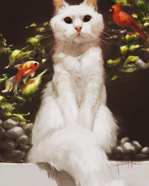 pseudo–me:Silly painting I made inspired by @zappa_the_cat #cat #catportrait