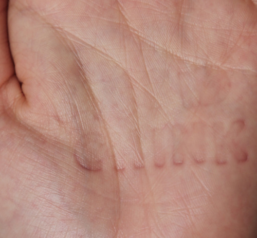 voulx:  Clare Yow, 2013Descent/Consent 