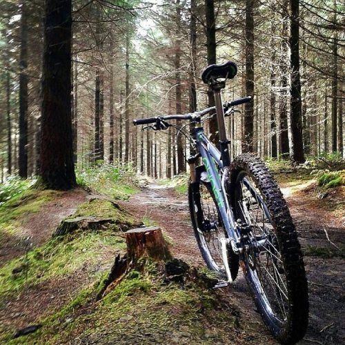 xmkdcom: #Repost @ghost_bikes ・・・ How’s your trail looking today?  #Repost @jumjumjohnnie ・・・ Great 