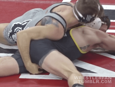 Why We Wrestle