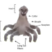calagua:Bacteriophage 