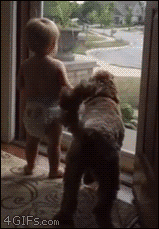 Baby and dog do a happy dance when Dad comes home