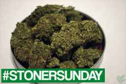 weedporndaily:  Happy Stoner Sunday! Tag your