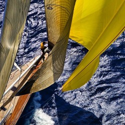 yachtmedia:That Yellow spinnaker  Photo by