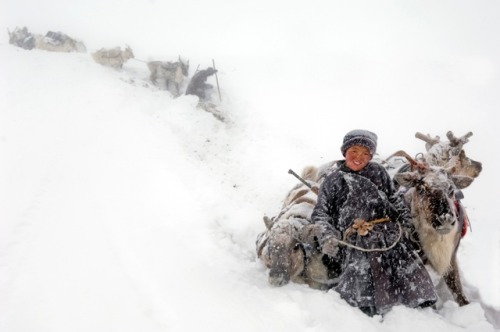 visualreverence:Hamid Sardar-Afkhami’s photos of the Dukha “Reindeer Herders”Photographer Hamid Sard