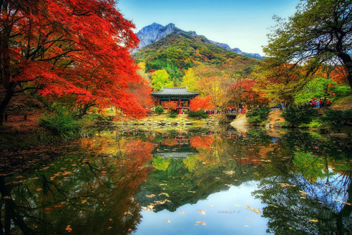 landscape-photo-graphy: Stunning Reflected Landscapes by Jaewoon U Capture The Beauty Of South Kore