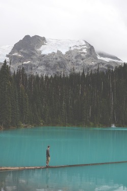 lvndscpe:    Untitled | by Ahmed Radwan  