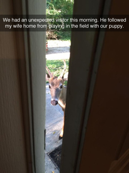 tastefullyoffensive:  Let him in! (via thedorkening)
