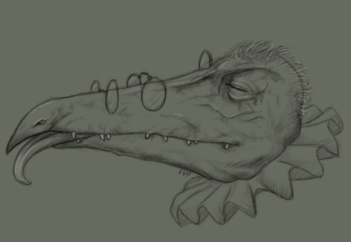 Working on the headshots of the canon skeksis, a fun challenge between myself and @skekfen-the-apoth