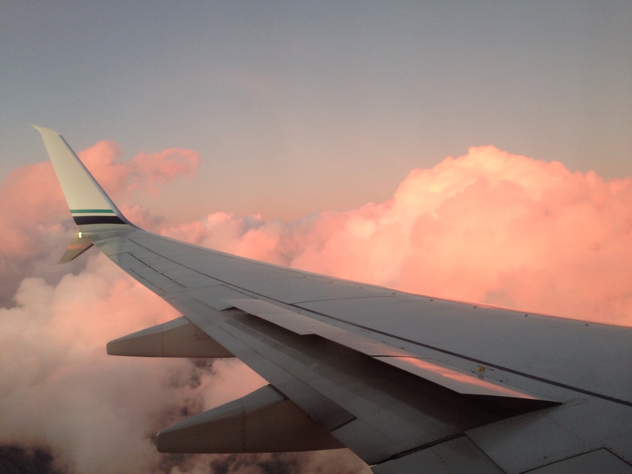 honeybooboomwahh:  253 ✈️ 760