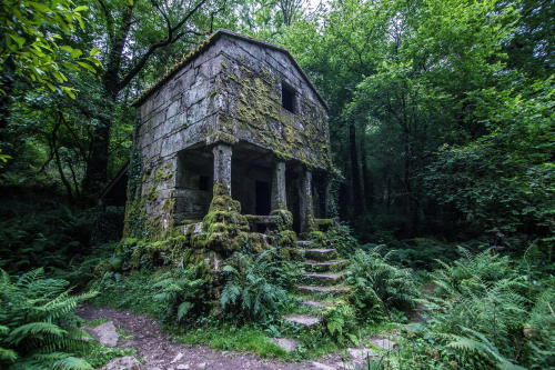 abandonedography:  An overgrown structure deep in the forest of Galicia, Spain by Francisco Lopez