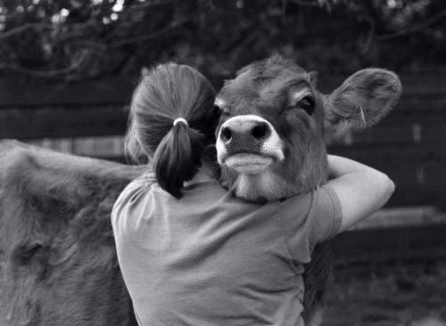 mercyforanimals:All animals deserve kindness and respect.