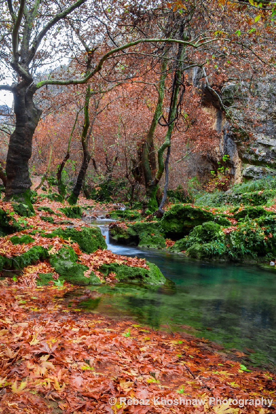 sublim-ature:  Kurdistan, IraqRebaz Khoshnaw