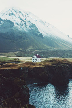 world-onfire:  universaltreeofawesome:     Can I just live here with you for the rest of my life j
