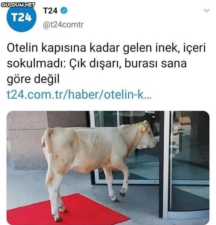 Ayrımcılık hayatın her...