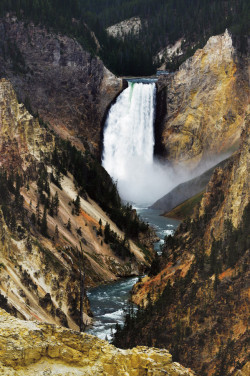 kaycliffcenter:  Deep Into Yellowstone Three