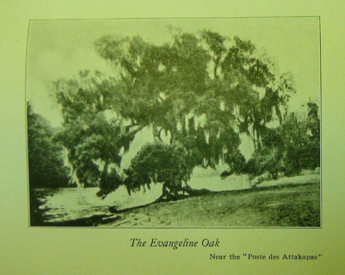 Henry Wadsworth Longfellow wrote an epic poem about Evangeline on her journey to find her lost love,