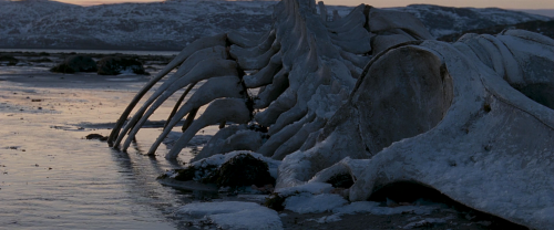 abderrahmane-sissako:Leviathan (2014)