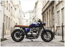 cat-skill:  2012 Triumph Bonneville by Vintage