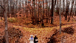 lochiels:COSTUME DRAMA + harvest season (autumn)