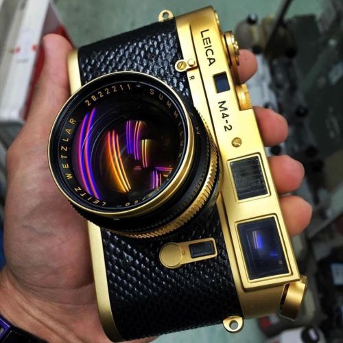 Leica M4-2 Oscar Barnack&rsquo;s Edition / Golden Edition #passionleica @legacy_shooter #leicam42 #